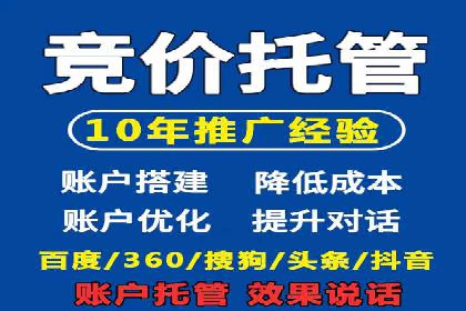 SEM推广代运营：成功案例解析与策略分享